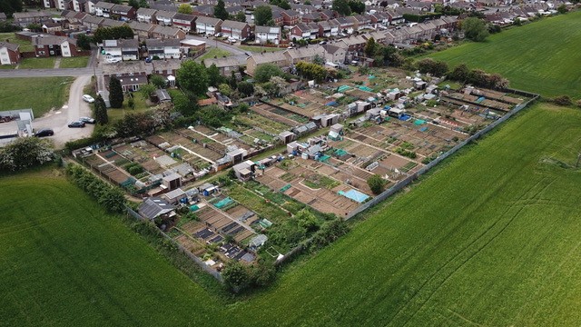 Aerial view of the allotment